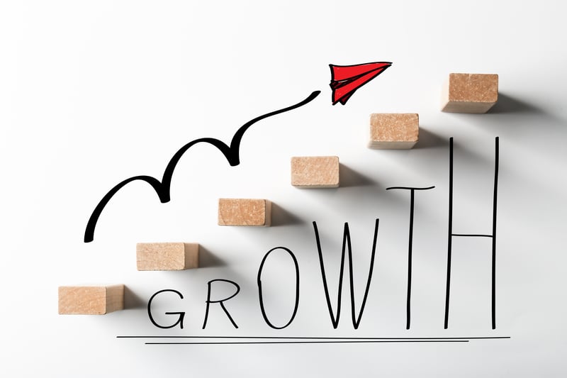 Is Business Growth Realistic in 2022?