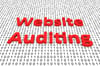 Website Audits in 2023: SEO Insights